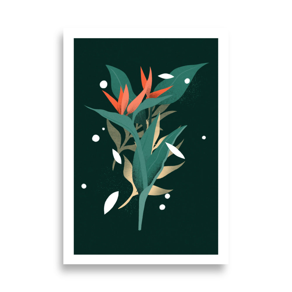 Nocturnal Botanicals Poster